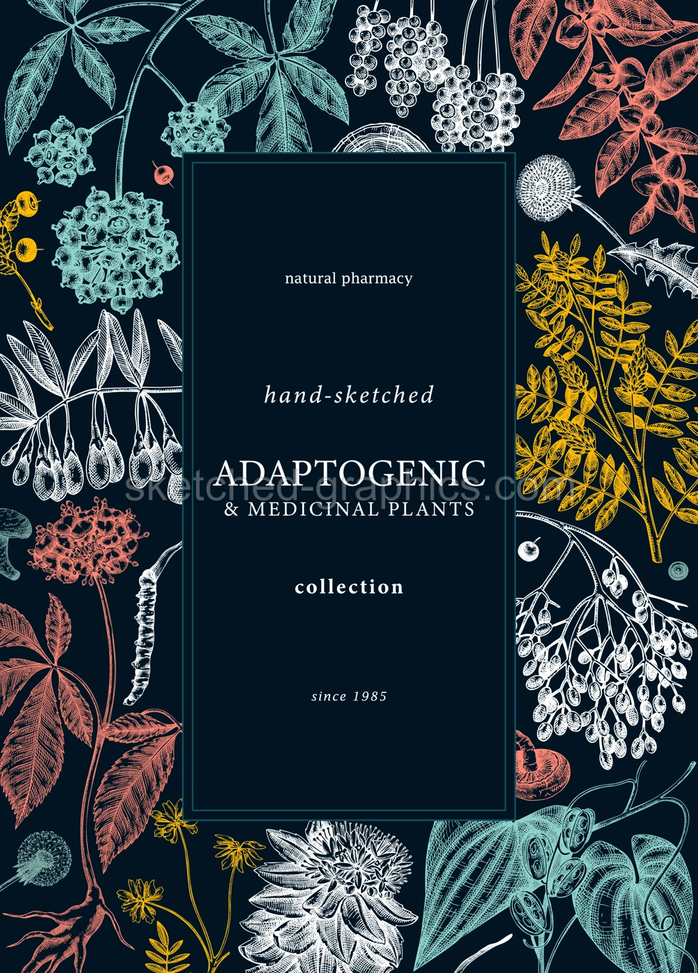 Botanical card design with hand-sketched adaptogenic and medicinal  herbs, weeds, berries, leaves. Adaptogenic plants vector illustration on . Perfect for label, packaging, banner. Illustration